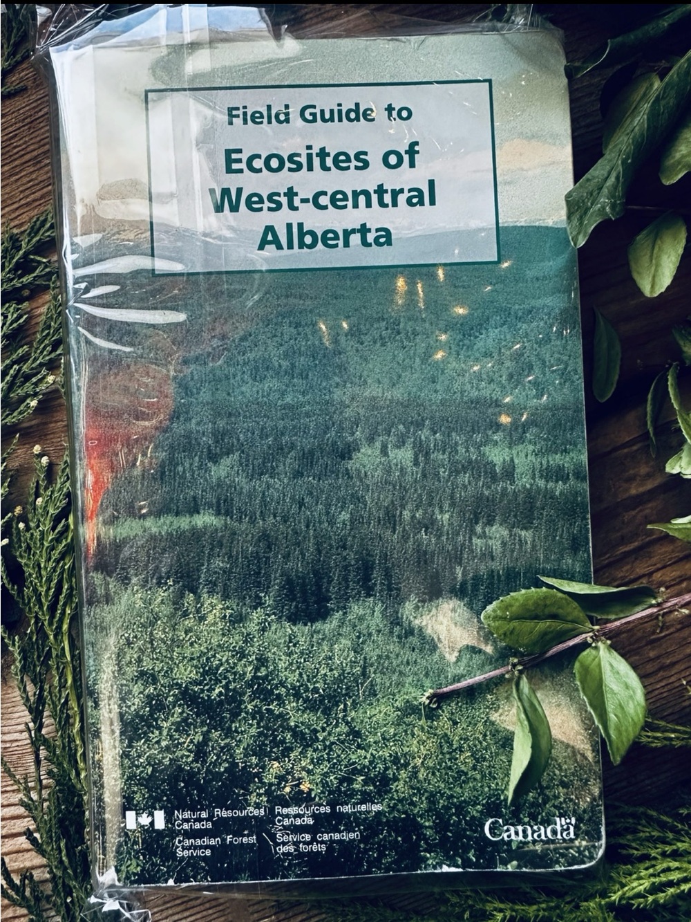 Field Guide to Ecosites of West-Central Alberta Horticulture Canada Vintage Book